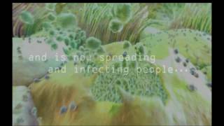 Lacto Pafi - Probiotic Supplement