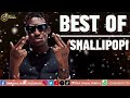 BEST OF SHALLIPOPI #shallipopi  #plutopresido ft #DJ STARBOY #djmix2024 #9jamusic2024 #afrobeat2024