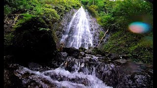 Hamama Falls Hike