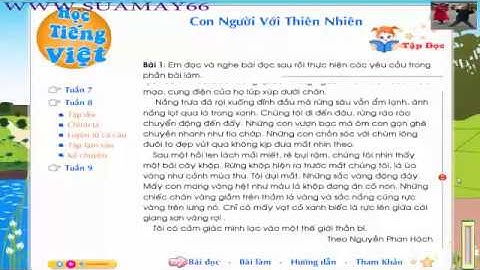 Tiếng Việt 5, Tuần 8,   Kì diệu rừng xanh, tiếng việt, thuan mai