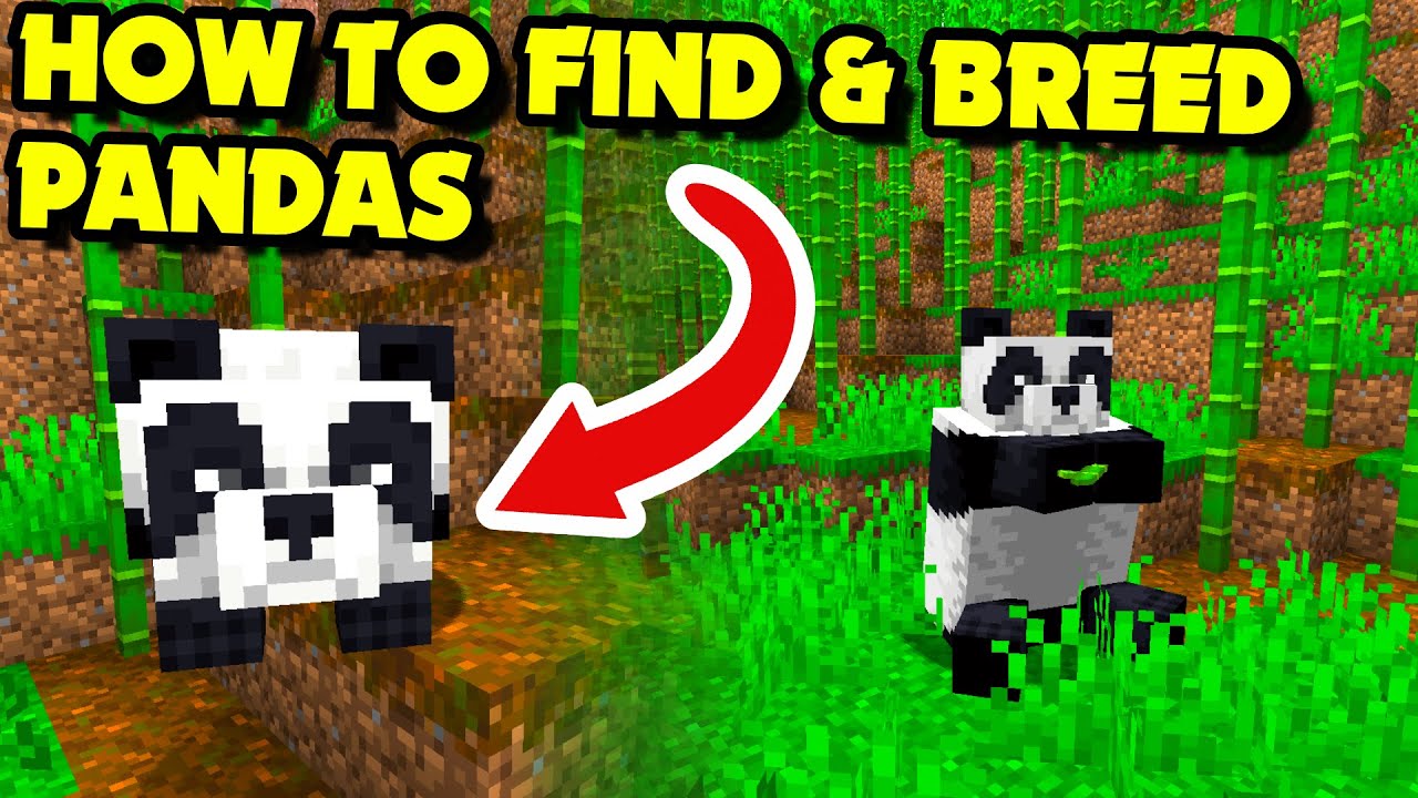 how to make pandas breed in Minecraft Rules of Gaming