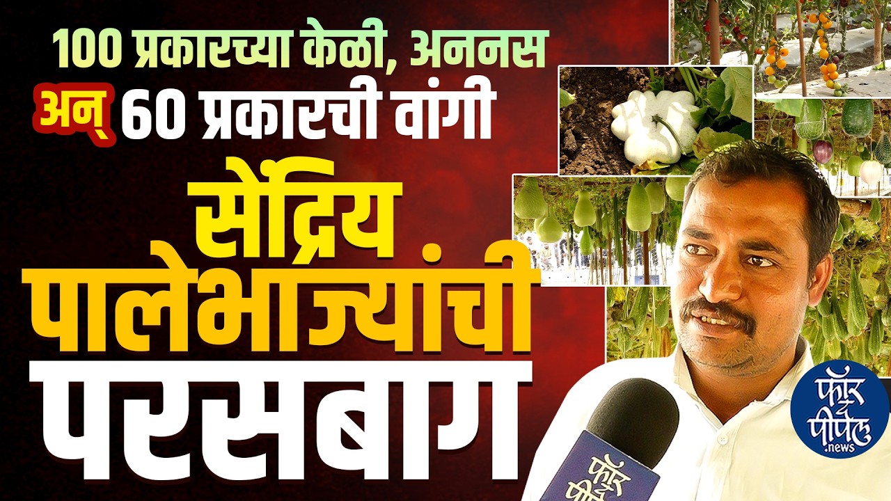 सेंद्रिय पालेभाज्यांची परसबाग Krushik 2026 | Farmer | Barmati | Agriculture | Farming | Garden