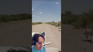 What Happened To This Donkey On Google Earth??