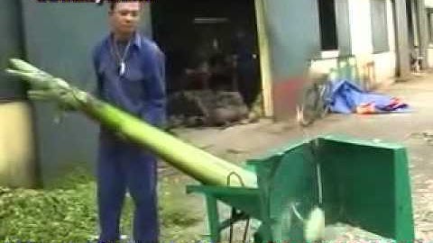 May thai cay chuoi, máy thái chuối, Sunlike vn