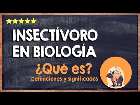 ¿Qué es insectívoro en biología? 🦗 Aprende todo sobre la alimentación a base de insectos 🦗