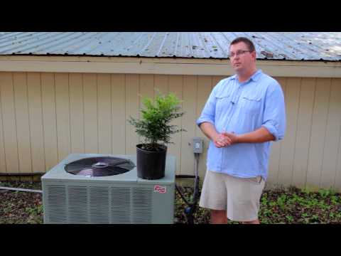 Video: Ce să plantezi lângă unitatea de aer condiționat: cum să amenajezi în jurul unui aparat de aer condiționat