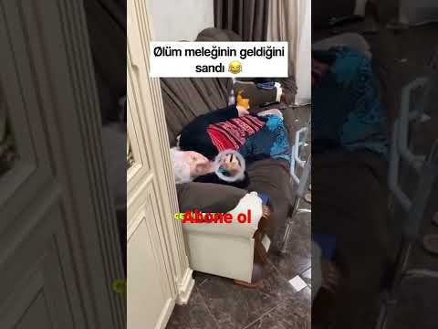 azrail geldi sanıyor hahh #azrail #nene #duman #tiktokcompilation #komik #tiktok #tiktokviral