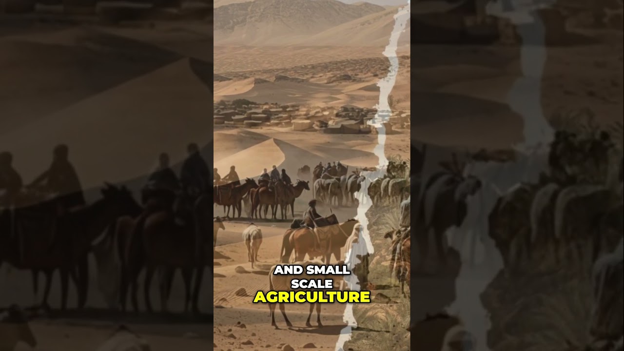 Unveiled A Historical Tapestry of Arab Culture 