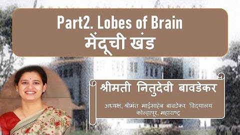 Session 2.1 How children learn? Part2 Lobes of brain [MS Talk Series on ECE]