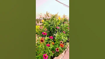 اجمل حالات واتس اب 