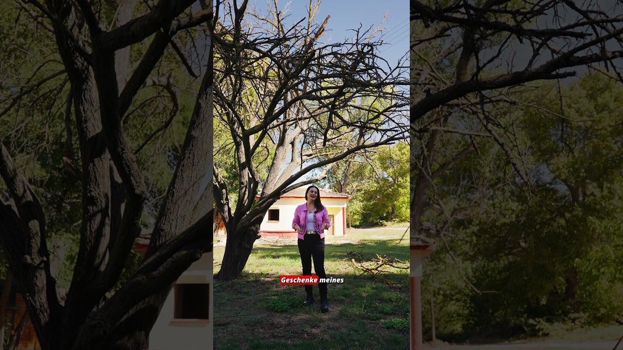 Sag jeden Morgen: Ich bin bereit zu empfangen. Und sieh, wie sich Türen öffnen 🙌 