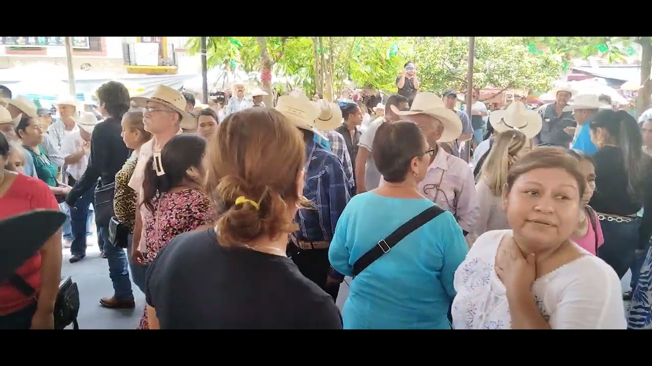 vámonos al huapango a Xilitla