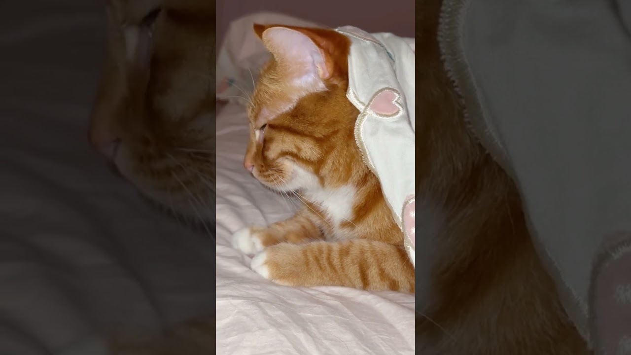 A quiet and beautiful man.❤️❤️❤️ 