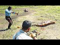 L1 Simulate stunning survival skills #rdr2