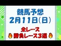 【競馬予想】２月１１日（日）全レース予想／厳選３レース(平場予想・重賞予想)