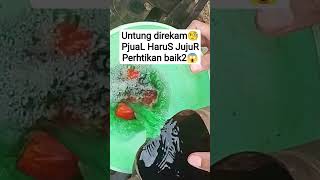 Luckily It Was Recordedsales Must Be Honestpay Attention Carey fypviral fypyoutube