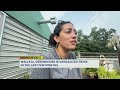 Nursery owner fears more attacks after greenhouse slashing