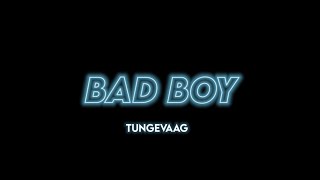 Bad Boy - Tungevaag | Lyrics | Black Screen | Status
