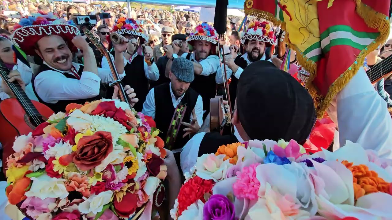 Verdiales panda jotron y lomillas 28-12-2024