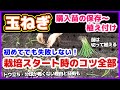 【玉ねぎ栽培完全ガイド】トウ立ち・分球が怖くない理由!苗を切って植え付けると利点がいっぱい/マルチ無しでも大丈夫/購入苗の定植までの保存方法/土作り・大事な土壌酸度調整・植え方・水やり/玉葱・タマネギ