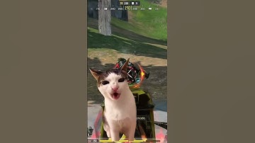 Don’t underestimate Meow #callofdutymobile #codmobile #codm