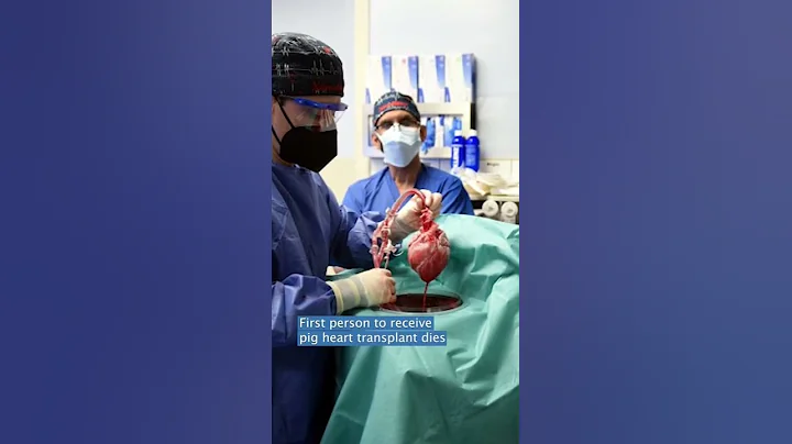First pig heart transplant patient dies after two months #newsph #inquirerdotnet - DayDayNews