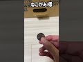 100円玉をお賽銭してみたら猫神マジックをお披露目でした【#Shorts】