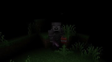 I Joined A Tryhard Minecraft SMP.