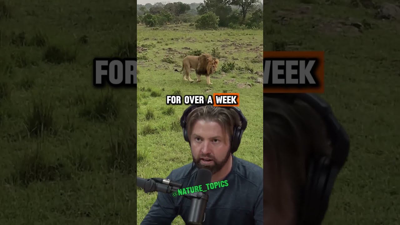 Tracking A Massive Lion With Forrest Galante Joe Rogan Experience Shorts Jre Joerogan