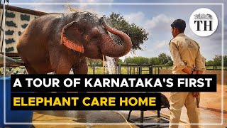 A tour of Karnataka's first elephant care home | The Hindu