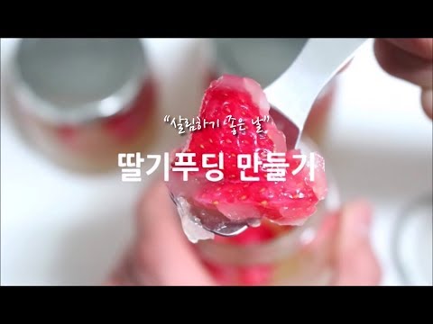 딸기푸딩