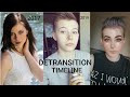 MY DETRANSITION TIMELINE