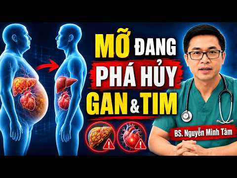 MỠ NỘI TẠNG ĐANG ÂM THẦM PHÁ HỦY Gan, Tim Và Tuyến Tụy? Đây Là Cách Giảm Được Khoa Học Chứng Minh