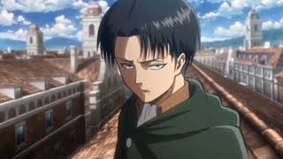 Levi Ackerman Beggin Amv Edit