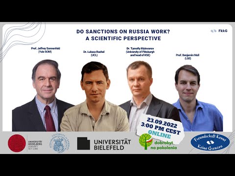 Do sanctions on russia work? A scientific perspective