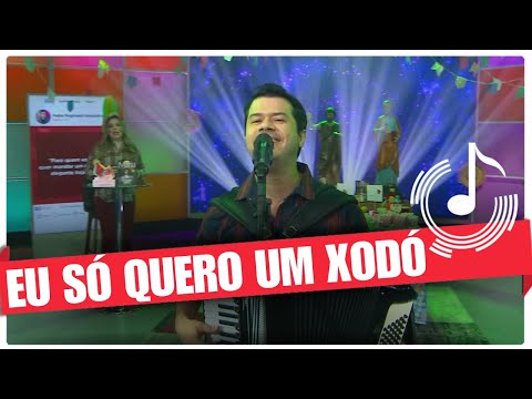 Eu Só Quero Um Xodó - Dudu do Acordeon