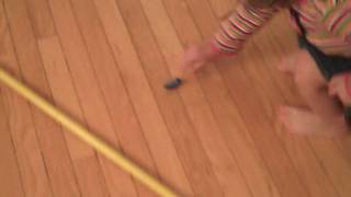 Hexbug Nano Micro Robotic Creatures