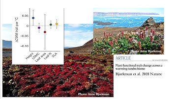 Sandra Díaz - Functional Diversity in the Face of Large-Scale Environmental Change