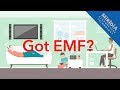 Is EMF Radiation Dangerous?