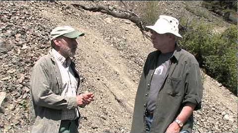 Colluvial Parent Material