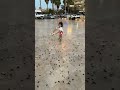 ويلي ويلي من الصراصير أنا بخاف كتير كتير 