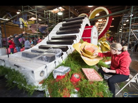 Wideo: Wygraj miejsce na pływaku Rose Parade Lucy Pet 2017!