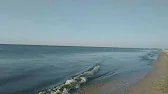 Тетяна_Ірпінь