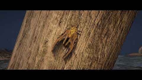 WARFRAME | CETUS Introduction