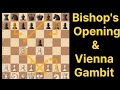 bishop opening in chess| how to play bishop opening in chess |Vienna Gambit Secrets|vienna gambit