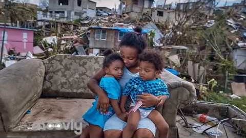 KONTi Design | Build Studio   BRAVO Application