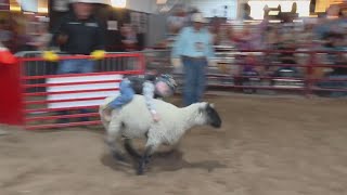 Fun at the San Antonio Stock Show & Rodeo's 'Bustin' in the Barn'
