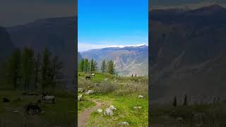 Перевал Кату-Ярык #алтай #горы #автопутешествие #поход
