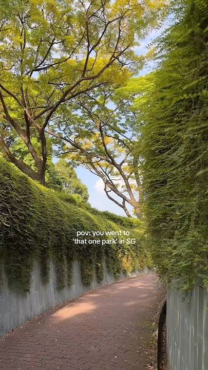 Singapore’s iconic photo spot: Fort Canning Park 🌳