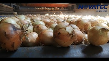 Novatec S.A. - Sorting, Weighing & Packing Line for Onions